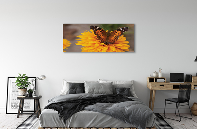 Cuadros sobre lienzo Colorido de la flor de mariposa