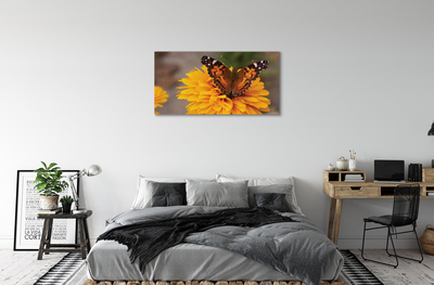 Cuadros sobre lienzo Colorido de la flor de mariposa