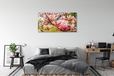 Cuadros sobre lienzo Magnolia rosada