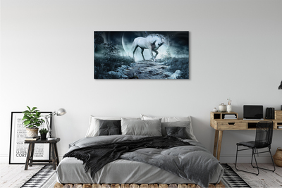 Cuadros sobre lienzo Bosque del unicornio luna