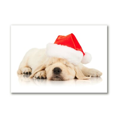 Cuadro en lienzo canvas Cachorro de Santa sombrero de invierno