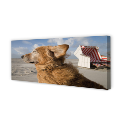 Cuadros sobre lienzo Playa marrón del perro