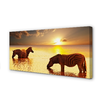 Cuadros sobre lienzo Cebras sunset