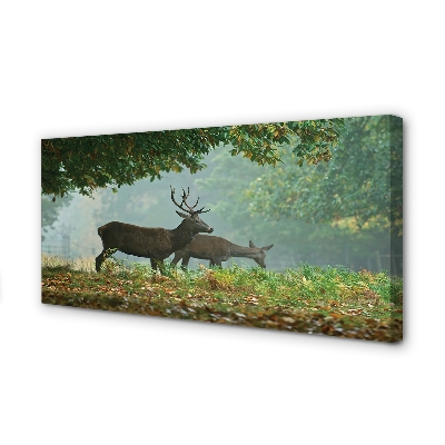 Cuadros sobre lienzo Bosque de otoño ciervos