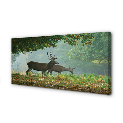 Cuadros sobre lienzo Bosque de otoño ciervos
