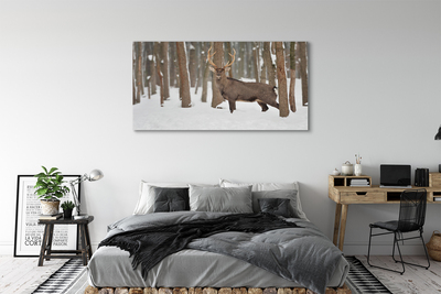 Cuadros sobre lienzo Bosque de invierno ciervos