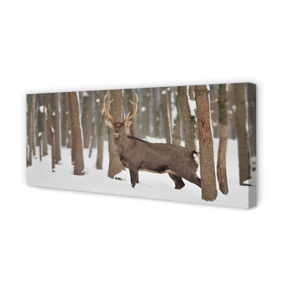 Cuadros sobre lienzo Bosque de invierno ciervos
