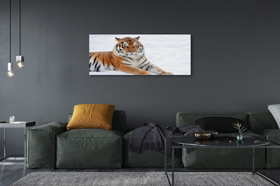Cuadros sobre lienzo Invierno tigre