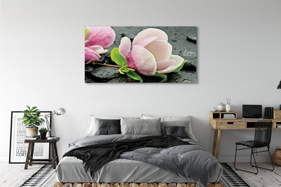 Cuadros sobre lienzo Piedras magnolia
