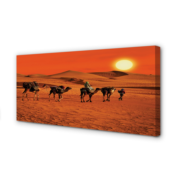 Cuadros sobre lienzo Camellos sol gente del desierto