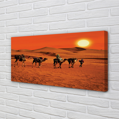 Cuadros sobre lienzo Camellos sol gente del desierto