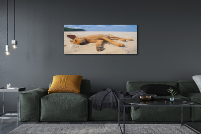 Cuadros sobre lienzo Mentira playa para perros