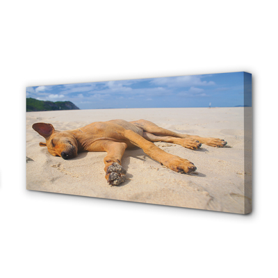 Cuadros sobre lienzo Mentira playa para perros