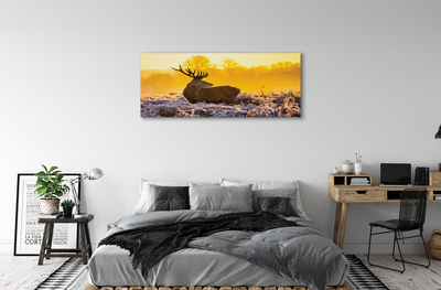 Cuadros sobre lienzo Amanecer de invierno ciervos