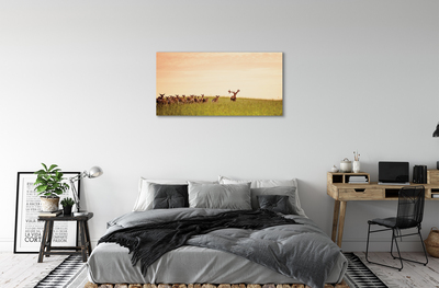 Cuadros sobre lienzo Una manada de ciervos amanecer campo