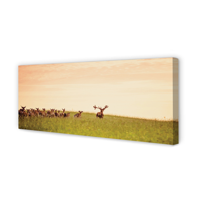 Cuadros sobre lienzo Una manada de ciervos amanecer campo