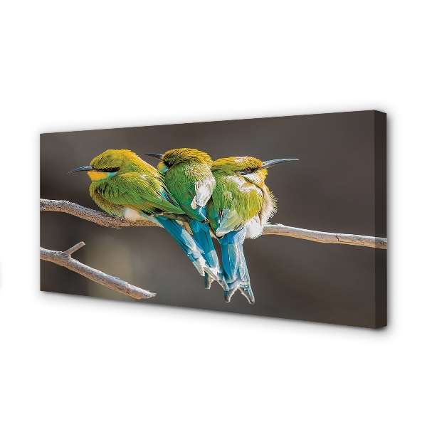 Cuadros sobre lienzo Pájaros en una rama