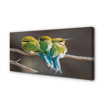 Cuadros sobre lienzo Pájaros en una rama