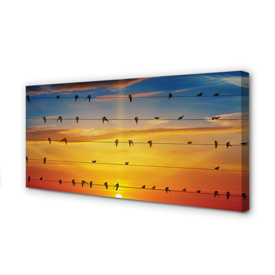 Cuadros sobre lienzo Pájaros en la puesta del sol cuerdas
