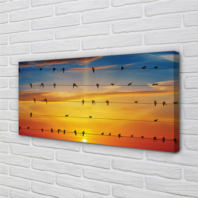 Cuadros sobre lienzo Pájaros en la puesta del sol cuerdas