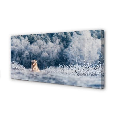 Cuadros sobre lienzo Perro de montaña de invierno