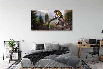 Cuadros sobre lienzo Bicicleta de montaña nube