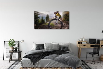 Cuadros sobre lienzo Bicicleta de montaña nube