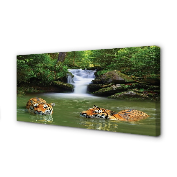 Cuadros sobre lienzo Tigres de la cascada