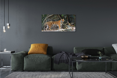 Cuadros sobre lienzo Tigre de la selva