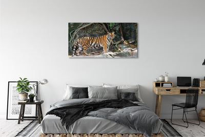 Cuadros sobre lienzo Tigre de la selva