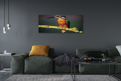 Cuadros sobre lienzo Pájaro colorido en una rama
