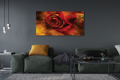 Cuadros sobre lienzo Imagen de la rosa