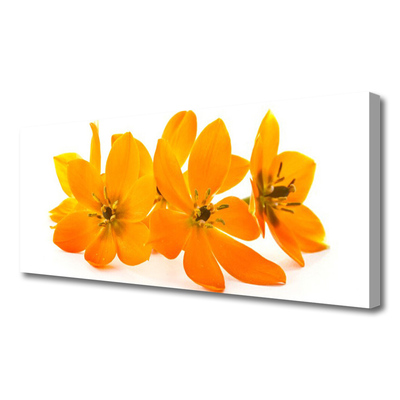 Cuadro en lienzo Naranja planta flores