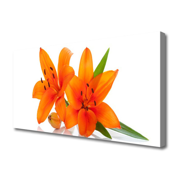 Cuadro en lienzo Naranja planta flores