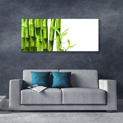Cuadro en lienzo Bambú planta