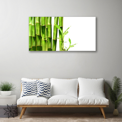 Cuadro en lienzo Bambú planta