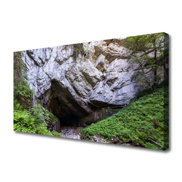 Cuadro en lienzo Monte cueva naturaleza