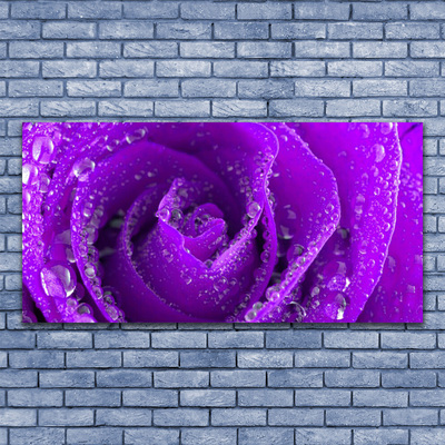 Cuadro en lienzo Rosa flor planta