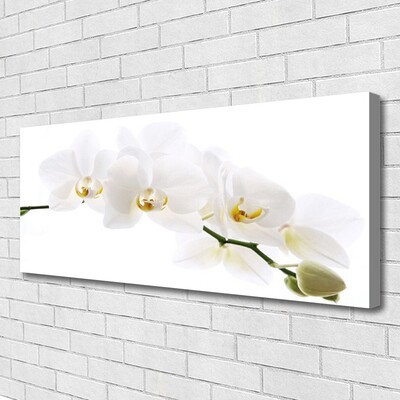 Cuadro en lienzo Flores orquídea