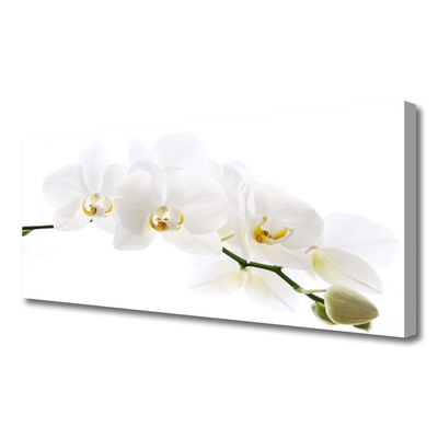 Cuadro en lienzo Flores orquídea
