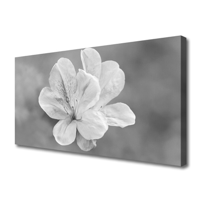 Cuadro en lienzo Flores planta