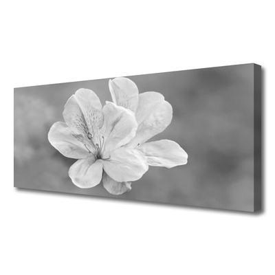 Cuadro en lienzo Flores planta