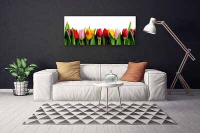Cuadro en lienzo Tulipanes flora