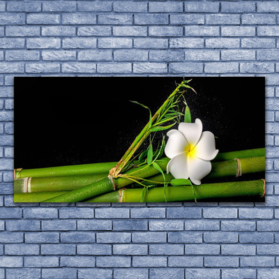 Cuadro en lienzo Bambú flor planta