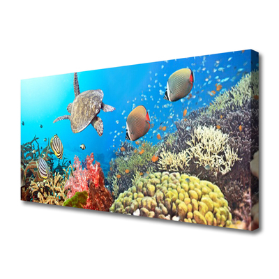 Cuadro en lienzo Arrecife paisaje