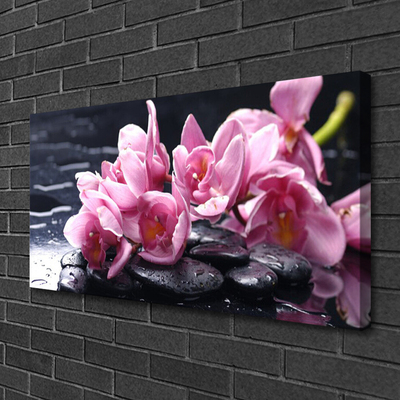 Cuadro en lienzo Flor orquídea planta