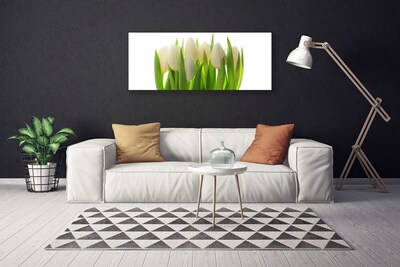 Cuadro en lienzo Tulipanes planta naturaleza