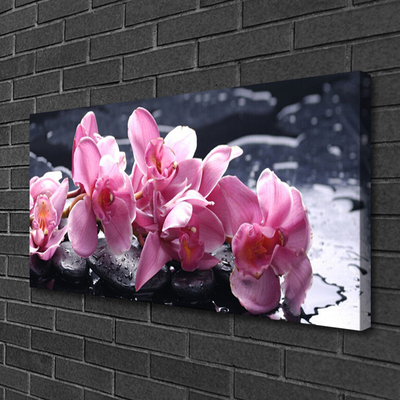 Cuadro en lienzo Flor orquídea para la habitación