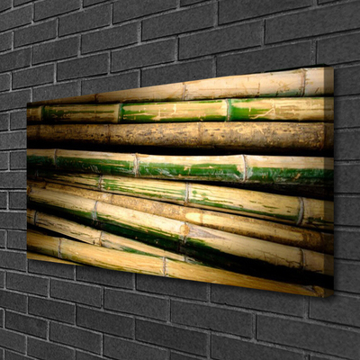 Cuadro en lienzo Bambú planta naturaleza