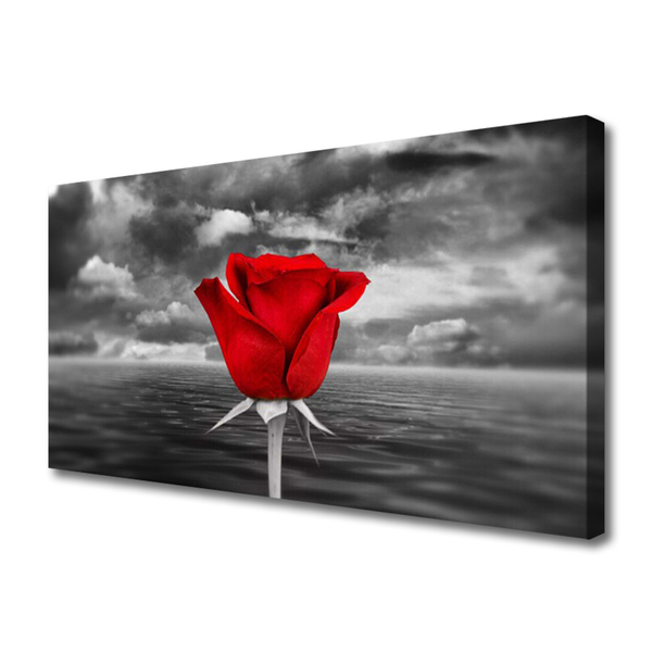 Cuadro en lienzo Rosa flor planta mar